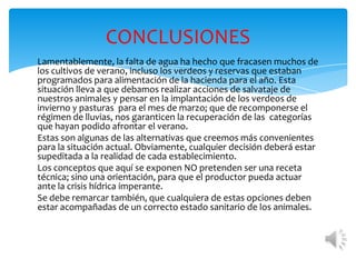 CONCLUSIONES
Lamentablemente, la falta de agua ha hecho que fracasen muchos de
los cultivos de verano, incluso los verdeos y reservas que estaban
programados para alimentación de la hacienda para el año. Esta
situación lleva a que debamos realizar acciones de salvataje de
nuestros animales y pensar en la implantación de los verdeos de
invierno y pasturas para el mes de marzo; que de recomponerse el
régimen de lluvias, nos garanticen la recuperación de las categorías
que hayan podido afrontar el verano.
Estas son algunas de las alternativas que creemos más convenientes
para la situación actual. Obviamente, cualquier decisión deberá estar
supeditada a la realidad de cada establecimiento.
Los conceptos que aquí se exponen NO pretenden ser una receta
técnica; sino una orientación, para que el productor pueda actuar
ante la crisis hídrica imperante.
Se debe remarcar también, que cualquiera de estas opciones deben
estar acompañadas de un correcto estado sanitario de los animales.
 