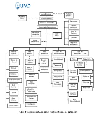 1.2.3. Descripción del Área donde realizó el trabajo de aplicación
 