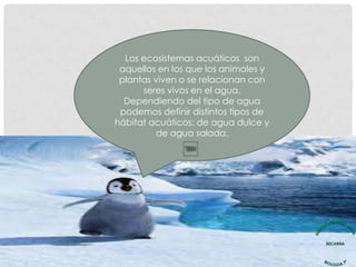 Los ecosistemas acuáticos son
aquellos en los que los animales y
plantas viven o se relacionan con
seres vivos en el agua.
Dependiendo del tipo de agua
podemos definir distintos tipos de
hábitat acuáticos: de agua dulce y
de agua salada.
 