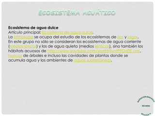 Ecosistema de agua dulce
Artículo principal: Ecosistema de agua dulce.
La limnología se ocupa del estudio de los ecosistemas de ríos y lagos.
En este grupo no sólo se consideran los ecosistemas de agua corriente
(medios lóticos) y los de agua quieta (medios lénticos), sino también los
hábitats acuosos de http://www.youtube.com/watch?v=tPFGdTE_nas,
huecos de árboles e incluso las cavidades de plantas donde se
acumula agua y los ambientes de aguas subterráneas.
 