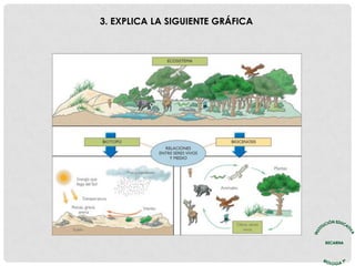 3. EXPLICA LA SIGUIENTE GRÁFICA
 