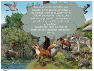 Los ecosistemas terrestres son
aquellos en los que los animales y
las plantas viven en el suelo y en el
aire. allí encuentran todo lo que
necesitan para vivir, dependiendo
de los factores abióticos de cada
ecosistema.
Los distintos tipos de hábitat
terrestres son: desiertos, praderas y
selvas.
 