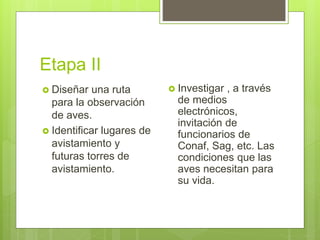 Etapa II
 Diseñar una ruta
para la observación
de aves.
 Identificar lugares de
avistamiento y
futuras torres de
avistamiento.
 Investigar , a través
de medios
electrónicos,
invitación de
funcionarios de
Conaf, Sag, etc. Las
condiciones que las
aves necesitan para
su vida.
 