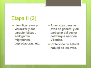 Etapa II (2)
 Identificar aves a
visualizar y sus
características ,
endogamia ,
migratorias,
depredadoras, etc.
 Amenazas para las
aves en general y en
particular del sector
del Parque nacional
Villarrica.
 Protección de hábitat
natural de las aves.
 