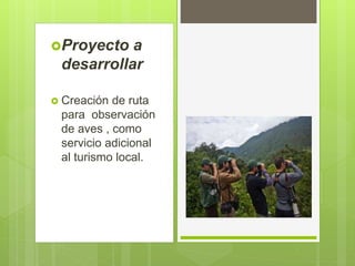 Proyecto a
desarrollar
 Creación de ruta
para observación
de aves , como
servicio adicional
al turismo local.
 