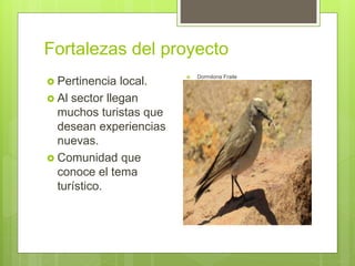 Fortalezas del proyecto
 Pertinencia local.
 Al sector llegan
muchos turistas que
desean experiencias
nuevas.
 Comunidad que
conoce el tema
turístico.
 Dormilona Fraile
 