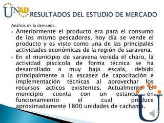 Análisis de la demanda.
 Anteriormente el producto era para el consumo
de los mismo pescadores, hoy día se vende el
producto y es visto como una de las principales
actividades económicas de la región de saravena.
 En el municipio de saravena vereda el charo, la
actividad piscícola de forma técnica se ha
desarrollado a muy baja escala, debido
principalmente a la escasez de capacitación e
implementación técnicas al aprovechar los
recursos acticos existentes. Actualmente el
municipio cuenta con un estanco en
funcionamiento el cual produce
aproximadamente 1800 unidades de cachama.
 
