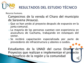 Recurso humano.
Campesinos de la vereda el Charo del municipio
de Saravena (Arauca).
o Que se han unido al proyecto después de expuesto en la
junta comunal.
o La mayoría de las personas cuentan con experiencia en
acuicultura de Cachama, trabajando en estanques del
sector.
o Se recibirá capacitación especializada por parte de
proveedores de infraestructura y abonos o cuidos.
Estudiantes de la UNAD del curso Diseño de
Proyectos que realizan e implementan el proyecto
en beneficio de la región y la comunidad
 