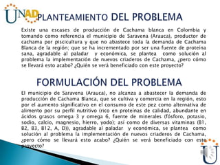 Existe una escases de producción de Cachama blanca en Colombia y
tomando como referencia el municipio de Saravena (Arauca), productor de
cachama por piscicultura y que no abastece toda la demanda de Cachama
Blanca de la región; que se ha incrementado por ser una fuente de proteína
sana, agradable al paladar y económica, se plantea como solución al
problema la implementación de nuevos criaderos de Cachama, ¿pero cómo
se llevará esto acabo? ¿Quién se verá beneficiado con este proyecto?
El municipio de Saravena (Arauca), no alcanza a abastecer la demanda de
producción de Cachama Blanca, que se cultiva y comercia en la región, esto
por el aumento significativo en el consumo de este pez como alternativa de
alimento por su perfil nutritivo (rico en proteínas de calidad, abundante en
ácidos grasos omega 3 y omega 6, fuente de minerales (fósforo, potasio,
sodio, calcio, magnesio, hierro, yodo); así como de diversas vitaminas (B1,
B2, B3, B12, A, D)), agradable al paladar y económica, se plantea como
solución al problema la implementación de nuevos criaderos de Cachama,
¿pero cómo se llevará esto acabo? ¿Quién se verá beneficiado con este
proyecto?
 