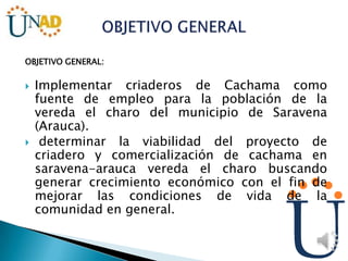 OBJETIVO GENERAL:
 Implementar criaderos de Cachama como
fuente de empleo para la población de la
vereda el charo del municipio de Saravena
(Arauca).
 determinar la viabilidad del proyecto de
criadero y comercialización de cachama en
saravena-arauca vereda el charo buscando
generar crecimiento económico con el fin de
mejorar las condiciones de vida de la
comunidad en general.
 