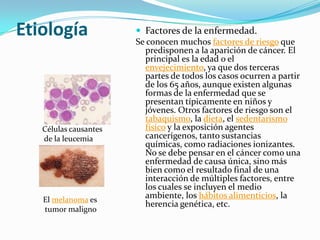 Etiología  Factores de la enfermedad.
Se conocen muchos factores de riesgo que
predisponen a la aparición de cáncer. El
principal es la edad o el
envejecimiento, ya que dos terceras
partes de todos los casos ocurren a partir
de los 65 años, aunque existen algunas
formas de la enfermedad que se
presentan típicamente en niños y
jóvenes. Otros factores de riesgo son el
tabaquismo, la dieta, el sedentarismo
físico y la exposición agentes
cancerígenos, tanto sustancias
químicas, como radiaciones ionizantes.
No se debe pensar en el cáncer como una
enfermedad de causa única, sino más
bien como el resultado final de una
interacción de múltiples factores, entre
los cuales se incluyen el medio
ambiente, los hábitos alimenticios, la
herencia genética, etc.
Células causantes
de la leucemia
El melanoma es
tumor maligno
 