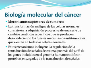 Biología molecular del cáncer
 Mecanismos supresores de tumores:
 La transformación maligna de las células normales
consiste en la adquisición progresiva de una serie de
cambios genéticos específicos que se producen
desobedeciendo los fuertes mecanismos antitumorales
que existen en todas las células normales.
 Estos mecanismos incluyen: La regulación de la
transducción de señales Se estima que más del 20% de
los genes incluidos en el genoma humano codifican
proteínas encargadas de la transducción de señales.
 