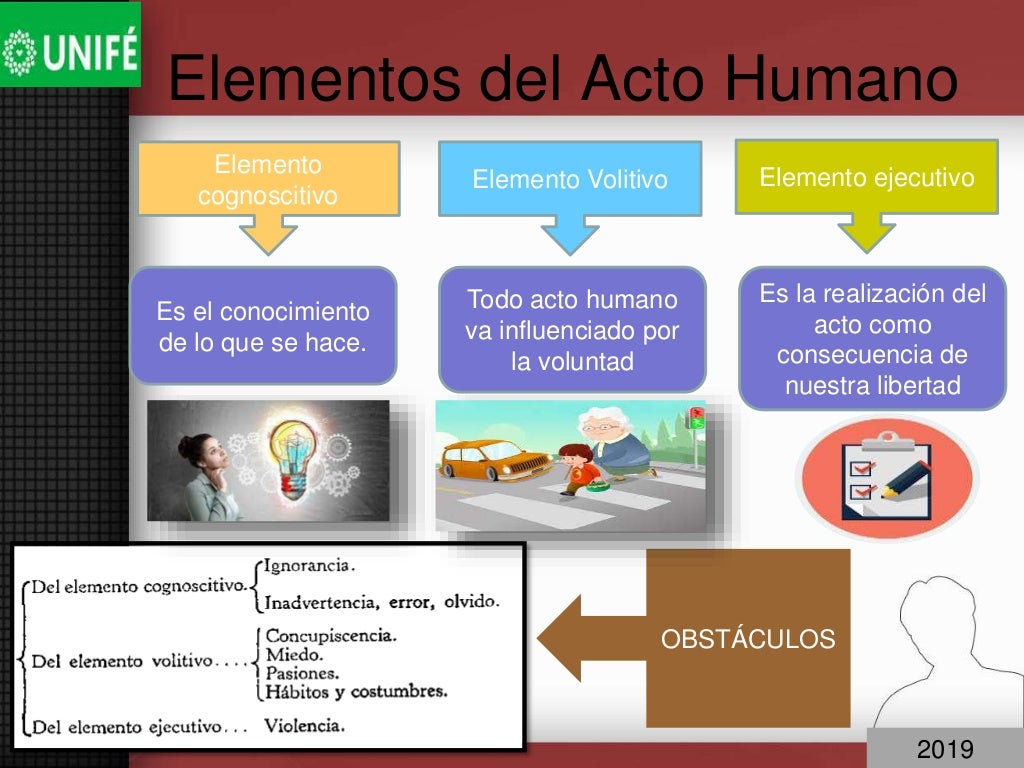 Acto humano y acto del hombre: La actitud moral fundamental