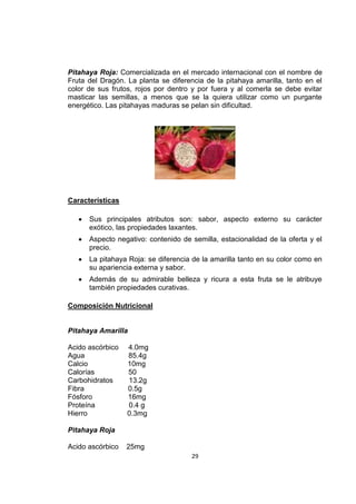 29
Pitahaya Roja: Comercializada en el mercado internacional con el nombre de
Fruta del Dragón. La planta se diferencia de la pitahaya amarilla, tanto en el
color de sus frutos, rojos por dentro y por fuera y al comerla se debe evitar
masticar las semillas, a menos que se la quiera utilizar como un purgante
energético. Las pitahayas maduras se pelan sin dificultad.
Características
 Sus principales atributos son: sabor, aspecto externo su carácter
exótico, las propiedades laxantes.
 Aspecto negativo: contenido de semilla, estacionalidad de la oferta y el
precio.
 La pitahaya Roja: se diferencia de la amarilla tanto en su color como en
su apariencia externa y sabor.
 Además de su admirable belleza y ricura a esta fruta se le atribuye
también propiedades curativas.
Composición Nutricional
Pitahaya Amarilla
Acido ascórbico 4.0mg
Agua 85.4g
Calcio 10mg
Calorías 50
Carbohidratos 13.2g
Fibra 0.5g
Fósforo 16mg
Proteína 0.4 g
Hierro 0.3mg
Pitahaya Roja
Acido ascórbico 25mg
 