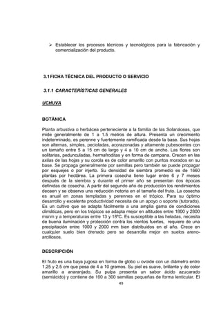 49
 Establecer los procesos técnicos y tecnológicos para la fabricación y
comercialización del producto.
3.1FICHA TÉCNICA DEL PRODUCTO O SERVICIO
3.1.1 CARACTERÍSTICAS GENERALES
UCHUVA
BOTÁNICA
Planta arbustiva o herbácea perteneciente a la familia de las Solanáceas, que
mide generalmente de 1 a 1.5 metros de altura. Presenta un crecimiento
indeterminado, es perenne y fuertemente ramificada desde la base. Sus hojas
son alternas, simples, pecioladas, acorazonadas y altamente pubescentes con
un tamaño entre 5 a 15 cm de largo y 4 a 10 cm de ancho. Las flores son
solitarias, pedunculadas, hermafroditas y en forma de campana. Crecen en las
axilas de las hojas y su corola es de color amarillo con puntos morados en su
base. Se propaga generalmente por semillas pero también se puede propagar
por esquejes o por injerto. Su densidad de siembra promedio es de 1660
plantas por hectárea. La primera cosecha tiene lugar entre 6 y 7 meses
después de la siembra y durante el primer año se presentan dos épocas
definidas de cosecha. A partir del segundo año de producción los rendimientos
decaen y se observa una reducción notoria en el tamaño del fruto. La cosecha
es anual en zonas templadas y perennes en el trópico. Para su óptimo
desarrollo y excelente productividad necesita de un apoyo o soporte (tutorado).
Es un cultivo que se adapta fácilmente a una amplia gama de condiciones
climáticas, pero en los trópicos se adapta mejor en altitudes entre 1800 y 2800
msnm y a temperaturas entre 13 y 18ºC. Es susceptible a las heladas, necesita
de buena iluminación y protección contra los vientos fuertes, requiere de una
precipitación entre 1000 y 2000 mm bien distribuidos en el año. Crece en
cualquier suelo bien drenado pero se desarrolla mejor en suelos areno-
arcillosos.
DESCRIPCIÓN
El fruto es una baya jugosa en forma de globo u ovoide con un diámetro entre
1.25 y 2.5 cm que pesa de 4 a 10 gramos. Su piel es suave, brillante y de color
amarillo a anaranjado. Su pulpa presenta un sabor ácido azucarado
(semiácido) y contiene de 100 a 300 semillas pequeñas de forma lenticular. El
 