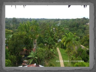 AMAZONAS – COLOMBIA

 