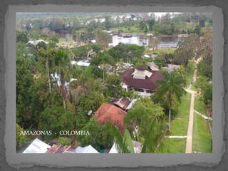 AMAZONAS - COLOMBIA

 