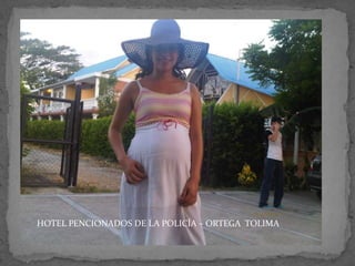 HOTEL PENCIONADOS DE LA POLICÍA – ORTEGA TOLIMA

 