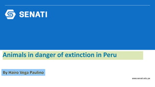 www.senati.edu.pe
Animals in danger of extinction in Peru
 