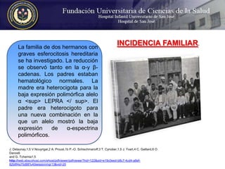 INCIDENCIA FAMILIAR. La familia de dos hermanos con graves esferocitosis hereditaria se ha investigado. La reducción se observó tanto en la α-y β-cadenas. Los padres estaban hematológico normales. La madre era heterocigota para la baja expresión polimórfica alelo α <sup> LEPRA </ sup>. El padre era heterocigoto para una nueva combinación en la que un alelo mostró la baja expresión de α-espectrina polimórficos.J. Delaunay,1,5 V.Nouyrigat,2 A. Proust,1b P.-O. Schischmanoff,3 T. Cynober,1,5 J. Yvart,4 C. Gaillard,6 O. Danos6and G. Tchernia1,5http://web.ebscohost.com/ehost/pdfviewer/pdfviewer?hid=122&sid=e19c0eed-b8c7-4cd4-a8ef-82b8f4a75d88%40sessionmgr13&vid=20