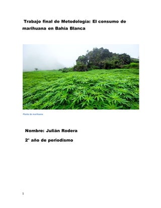 1
Trabajo final de Metodología: El consumo de
marihuana en Bahía Blanca
Planta de marihuana
Nombre: Julián Rodera
2° año de periodismo
 