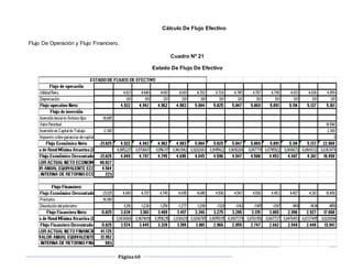 Página60
Cálculo De Flujo Efectivo
Flujo De Operación y Flujo Financiero.
Cuadro Nº 21
Estado De Flujo De Efectivo
 