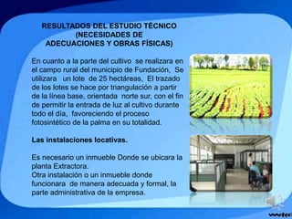 RESULTADOS DEL ESTUDIO TÉCNICO
(NECESIDADES DE
ADECUACIONES Y OBRAS FÍSICAS)
En cuanto a la parte del cultivo se realizara en
el campo rural del municipio de Fundación, Se
utilizara un lote de 25 hectáreas, El trazado
de los lotes se hace por triangulación a partir
de la línea base, orientada norte sur, con el fin
de permitir la entrada de luz al cultivo durante
todo el día, favoreciendo el proceso
fotosintético de la palma en su totalidad.
Las instalaciones locativas.
Es necesario un inmueble Donde se ubicara la
planta Extractora.
Otra instalación o un inmueble donde
funcionara de manera adecuada y formal, la
parte administrativa de la empresa.
 