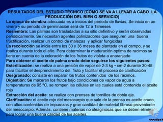 RESULTADOS DEL ESTUDIO TÉCNICO (CÓMO SE VA A LLEVAR A CABO LA
PRODUCCIÓN DEL BIEN O SERVICIO)
La época de siembra adecuada es a inicios del período de lluvias, Se inicia en un
vivero y su periodo de germinación será de 12 a 18meses
Resiembra: Las palmas son trasladadas a su sitio definitivo y serán observadas
periódicamente. Se necesitan agentes polinizadores que aseguren una buena
fructificación, realizar un control de malezas y aplicar fungicidas
La recolección se inicia entre los 30 y 36 meses de plantada en el campo, y se
realiza durante todo el año. Para determinar la maduración optima de racimos se
tiene en cuenta de la coloración de los frutos de violeta a anaranjado
Para obtener el aceite de palma crudo debe seguirse los siguientes pasos:
Esterilización: se realiza a una presión de vapor de 2-3 kg • cm-2 durante 30-45
para facilitar el desprendimiento del fruto y facilitar el proceso de clarificación
Desgranado: consiste en separar los frutos contenidos de los racimos.
Digestión: Se maceran los frutos bajo condiciones de vapor de agua a
temperaturas de 95 ºC. se rompen las células en las cuales está contenida el aceite
rojo
Extracción del aceite: se realiza con prensas de tornillos de doble eje.
Clarificación: el aceite rojo del mesocarpio que sale de la prensa es aceite crudo,
con altos contenidos de impurezas y gran cantidad de material fibroso proveniente
del mesocarpio. Además, contiene materias no oleaginosas que se deben eliminar
para lograr una buena calidad de los aceites.
 