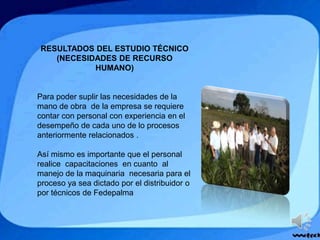 RESULTADOS DEL ESTUDIO TÉCNICO
(NECESIDADES DE RECURSO
HUMANO)
Para poder suplir las necesidades de la
mano de obra de la empresa se requiere
contar con personal con experiencia en el
desempeño de cada uno de lo procesos
anteriormente relacionados .
Así mismo es importante que el personal
realice capacitaciones en cuanto al
manejo de la maquinaria necesaria para el
proceso ya sea dictado por el distribuidor o
por técnicos de Fedepalma
 