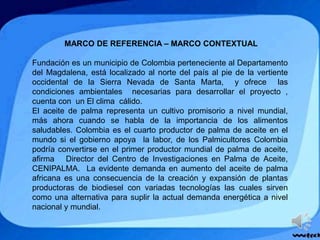 MARCO DE REFERENCIA – MARCO CONTEXTUAL
Fundación es un municipio de Colombia perteneciente al Departamento
del Magdalena, está localizado al norte del país al pie de la vertiente
occidental de la Sierra Nevada de Santa Marta, y ofrece las
condiciones ambientales necesarias para desarrollar el proyecto ,
cuenta con un El clima cálido.
El aceite de palma representa un cultivo promisorio a nivel mundial,
más ahora cuando se habla de la importancia de los alimentos
saludables. Colombia es el cuarto productor de palma de aceite en el
mundo si el gobierno apoya la labor, de los Palmicultores Colombia
podría convertirse en el primer productor mundial de palma de aceite,
afirma Director del Centro de Investigaciones en Palma de Aceite,
CENIPALMA. La evidente demanda en aumento del aceite de palma
africana es una consecuencia de la creación y expansión de plantas
productoras de biodiesel con variadas tecnologías las cuales sirven
como una alternativa para suplir la actual demanda energética a nivel
nacional y mundial.
 