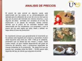 ANALISIS DE PRECIOS

El precio de este animal en algunos casos está
determinado por los costos en su comercialización, por
ejemplo para la utilización de un pie de cría se dice que se
rige por el precio del mercado de manera empírica, y que
algunos de estos animales son vendidos en el sitio de
producción, o en plazas de mercado, ciertos autores
afirman que el precio de los animales también está
determinado por los vendedores y el comprador y que el
precio del cuy está regido por peso, edad y calidad, sin
dejar atrás el costo de producción.


Es importante conocer que generalmente el incremento en
los precios está regulado por la época y necesidad; el peso
ideal requerido esta entre los 1000 -1300 gr en adelante,
parámetro que va desde los dos meses y medio, hasta
cuatro meses, en gran medida dependiendo del grado de
consumo de alimento, raza y condiciones especiales de
manejo presentes en la producción. Se determino que los
precios son variables entre los 6000 – 16.000 pesos todo
depende del tipo de cliente que adquiere el animal.
 