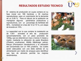 RESULTADOS ESTUDIO TECNICO

El sistema de producción en cuyes contara en su
fase inicial con 168 hembras y 30 machos
reproductores, para un cubrimiento de la demanda
de un 0,49 %. Para el cálculo de la población se
manejaran algunos      parámetros productivos y
reproductivos, con un porcentaje de fertilidad del
90%, mortalidad en crías del 12 al 15 % y en etapa
de levante en 10%.

La capacidad con la que contara la instalación es
de 1.651      animales al año de      producción
aproximadamente, con un peso promedio de
1200g, que se obtendrá en mas o menos 3 meses y
medio, mediante la utilización de pasto Brazilero
(Phalaris urudinacea), Alfalfa (Medicago sativa),
Kikuyo (Penissetum clandestinum) y la utilización
del concentrado con un 18% proteína, los cuales
serán adecuados con una dieta estricta en su
alimentación por medio de ensayos para identificar
que tipo de alimento permite los mejores
rendimientos.
.
 