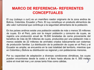 MARCO DE REFERENCIA- REFERENTES
              CONCEPTUALES
El cuy (cobayo o curí) es un mamífero roedor originario de la zona andina de
Bolivia, Colombia, Ecuador y Perú. El cuy constituye un producto alimenticio de
alto valor nutricional que contribuye a la seguridad alimentaria de la población.

En los países andinos existe una población estable de más o menos 35 millones
de cuyes. En el Perú, país con la mayor población y consumo de cuyes, se
registra una producción anual de 16.500 toneladas de carne proveniente del
beneficio de más de 65 millones de cuyes, producidos por una población más o
menos estable de 22 millones de animales criados básicamente con sistemas
de producción familiar. La distribución de la población de cuyes en el Perú y el
Ecuador es amplia; se encuentra en la casi totalidad del territorio, mientras que
en Colombia y Bolivia su distribución es regional y con poblaciones menores.

Por su capacidad de adaptación a diversas condiciones climáticas, los cuyes
pueden encontrarse desde la costa o el llano hasta alturas de 4. 500 metros
sobre el nivel del mar y en zonas tanto frías como cálidas.
 