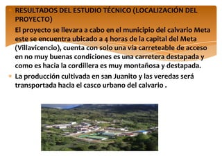 RESULTADOS DEL ESTUDIO TÉCNICO (LOCALIZACIÓN DEL
PROYECTO)
El proyecto se llevara a cabo en el municipio del calvario Meta
este se encuentra ubicado a 4 horas de la capital del Meta
(Villavicencio), cuenta con solo una vía carreteable de acceso
en no muy buenas condiciones es una carretera destapada y
como es hacia la cordillera es muy montañosa y destapada.
La producción cultivada en san Juanito y las veredas será
transportada hacia el casco urbano del calvario .
 