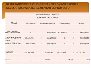 RESULTADOS DEL ESTUDIO FINANCIERO (INVERSIONES
 NECESARIAS PARA IMPLEMENTAR EL PROYECTO
                                  COSTO TOTAL DEL PROYECTO
                                  FUENTES DE FINANCIACION


         AREAS       FRUTIMAYO       ENTE FINANCIADOR           COMUNIDAD                  TOTAL




AREA AGRICOLA             0            $        528.278.000   312.000.000            $       840.278.000


AREA INDUSTRIAL $ 528.982.786          $        333.488.000           0              $       862.470.786
AREA
ADMINISTRATIVA      $10.000.000        $        464.274.048           0              $       464.274.048



TOTALES          $ 538.982.786             1.326.040.048      312.000.000            $ 2.177.022.834



PORCENTAJE               24,75%               60,9%                         14,33%                     100%
 