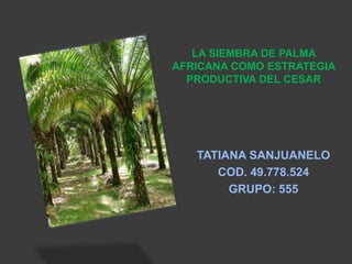 LA SIEMBRA DE PALMA
AFRICANA COMO ESTRATEGIA
PRODUCTIVA DEL CESAR
TATIANA SANJUANELO
COD. 49.778.524
GRUPO: 555
 