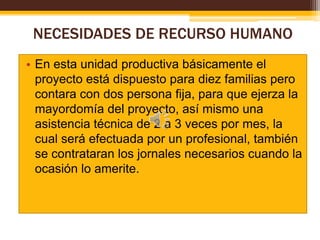 NECESIDADES DE RECURSO HUMANO
• En esta unidad productiva básicamente el
proyecto está dispuesto para diez familias pero
contara con dos persona fija, para que ejerza la
mayordomía del proyecto, así mismo una
asistencia técnica de 2 a 3 veces por mes, la
cual será efectuada por un profesional, también
se contrataran los jornales necesarios cuando la
ocasión lo amerite.

 