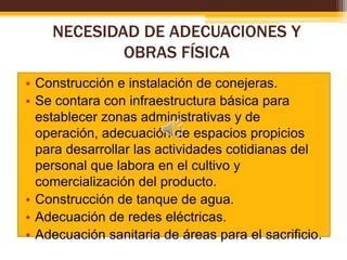 NECESIDAD DE ADECUACIONES Y
OBRAS FÍSICA
• Construcción e instalación de conejeras.
• Se contara con infraestructura básica para
establecer zonas administrativas y de
operación, adecuación de espacios propicios
para desarrollar las actividades cotidianas del
personal que labora en el cultivo y
comercialización del producto.
• Construcción de tanque de agua.
• Adecuación de redes eléctricas.
• Adecuación sanitaria de áreas para el sacrificio.

 
