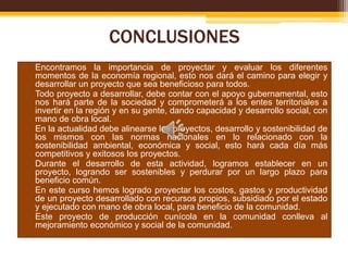 CONCLUSIONES
• Encontramos la importancia de proyectar y evaluar los diferentes
momentos de la economía regional, esto nos dará el camino para elegir y
desarrollar un proyecto que sea beneficioso para todos.
• Todo proyecto a desarrollar, debe contar con el apoyo gubernamental, esto
nos hará parte de la sociedad y comprometerá a los entes territoriales a
invertir en la región y en su gente, dando capacidad y desarrollo social, con
mano de obra local.
• En la actualidad debe alinearse los proyectos, desarrollo y sostenibilidad de
los mismos con las normas nacionales en lo relacionado con la
sostenibilidad ambiental, económica y social, esto hará cada día más
competitivos y exitosos los proyectos.
• Durante el desarrollo de esta actividad, logramos establecer en un
proyecto, logrando ser sostenibles y perdurar por un largo plazo para
beneficio común.
• En este curso hemos logrado proyectar los costos, gastos y productividad
de un proyecto desarrollado con recursos propios, subsidiado por el estado
y ejecutado con mano de obra local, para beneficio de la comunidad.
• Este proyecto de producción cunícola en la comunidad conlleva al
mejoramiento económico y social de la comunidad.

 