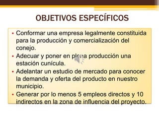 OBJETIVOS ESPECÍFICOS
• Conformar una empresa legalmente constituida
para la producción y comercialización del
conejo.
• Adecuar y poner en plena producción una
estación cunícula.
• Adelantar un estudio de mercado para conocer
la demanda y oferta del producto en nuestro
municipio.
• Generar por lo menos 5 empleos directos y 10
indirectos en la zona de influencia del proyecto.

 