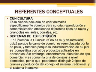 REFERENTES CONCEPTUALES
• CUNICULTURA
Es la ciencia pecuaria de criar animales
específicamente conejos para su cría, reproducción y
comercialización empleando diferentes tipos de razas y
criándolas en jaulas, corrales, etc.
• SISTEMAS DE EXPLOTACIÓN
En Colombia la Cunicultura no es muy desarrollada,
quizá porque la carne de conejo es reemplazada por la
de pollo, y también porque la industrialización de su piel
es competitiva con otros productos utilizados en
artesanías. Sin embargo, encontramos planteles de tipo
comercial, y es común la cría de conejos a nivel
doméstico, por lo que podríamos distinguir 2 tipos de
crianza y producción del conejo: el sistema tradicional y
el sistema intensivo.

 
