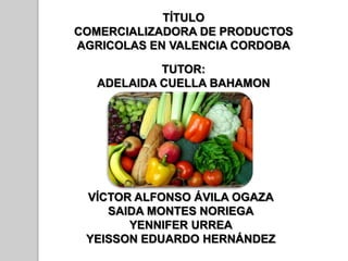 TÍTULO
COMERCIALIZADORA DE PRODUCTOS
AGRICOLAS EN VALENCIA CORDOBA

            TUTOR:
   ADELAIDA CUELLA BAHAMON




 VÍCTOR ALFONSO ÁVILA OGAZA
    SAIDA MONTES NORIEGA
       YENNIFER URREA
 YEISSON EDUARDO HERNÁNDEZ
 