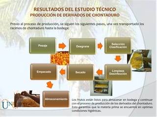 RESULTADOS DEL ESTUDIO TÉCNICO
PRODUCCIÓN DE DERIVADOS DE CHONTADURO
Previo al proceso de producción, se siguen los siguientes pasos, una vez transportado los
racimos de chontaduro hasta la bodega:

Pesaje

Empacado

Almacenamiento

Desgrane

Selección
Clasificación

Secado

Limpieza
Desinfección

Los frutos están listos para almacenar en bodega y continuar
con el proceso de producción de los derivados del chontaduro.
Esto garantiza que la materia prima se encuentre en optimas
condiciones higiénicas.

 
