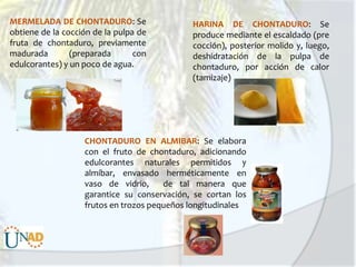 MERMELADA DE CHONTADURO: Se
obtiene de la cocción de la pulpa de
fruta de chontaduro, previamente
madurada
(preparada
con
edulcorantes) y un poco de agua.

HARINA DE CHONTADURO: Se
produce mediante el escaldado (pre
cocción), posterior molido y, luego,
deshidratación de la pulpa de
chontaduro, por acción de calor
(tamizaje)

CHONTADURO EN ALMIBAR: Se elabora
con el fruto de chontaduro, adicionando
edulcorantes naturales permitidos y
almíbar, envasado herméticamente en
vaso de vidrio,
de tal manera que
garantice su conservación, se cortan los
frutos en trozos pequeños longitudinales

 