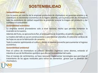 SOSTENIBILIDAD
Sostenibilidad social
Con la puesta en marcha de la empresa productora de chontaduro se generara empleo y se
contribuirá al crecimiento económico de la región; además, con la producción de chontaduro
bajo los estándares de calidad requeridos se pretende renovar la imagen del producto y dar
confianza al consumidor.

Sostenibilidad económica
La empresa tendrá proveedores solo a nivel nacional, hecho que permite fomentar la
inversión en lo nuestro.
Además del fruto, se aprovecha la flor, el endospermo de la semilla y el palmito (cogollo).
La madera del tallo se usa en construcciones y para fabricar utensilios. El colorante verdoso de
las hojas se usa en la fabricación de canastos.
Todo lo anterior optimizando el cultivo y dando el máximo provecho para aumentar el ingreso
económico.

Sostenibilidad ambiental
Para el cultivo de chontaduro se utilizara desechos orgánicos como abonos, evitando al
máximo el uso de fertilizantes químicos que afectan la estabilidad del suelo.
Para el manejo de vertimientos, se hace necesario implementar tecnologías que permitan el
tratamiento de las aguas residuales para retirar los elementos grasos que se eliminan del
chontaduro.

 