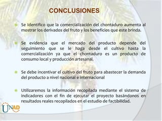 CONCLUSIONES


Se Identifico que la comercialización del chontaduro aumenta al
mostrar los derivados del fruto y los beneficios que este brinda.



Se evidencia que el mercado del producto depende del
seguimiento que se le haga desde el cultivo hasta la
comercialización ya que el chontaduro es un producto de
consumo local y producción artesanal.



Se debe incentivar el cultivo del fruto para abastecer la demanda
del producto a nivel nacional e internacional



Utilizaremos la información recopilada mediante el sistema de
indicadores con el fin de ejecutar el proyecto basándonos en
resultados reales recopilados en el estudio de factibilidad.

 