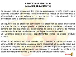 ESTUDIOS DE MERCADO
ANÁLISIS DE LA OFERTA
En nuestro país se establecen dos tipos de productores: el más común, es el
pequeño productor, que vende la fruta durante los meses de alta demanda a
intermediarios o exportadores y en los meses de baja demanda tiene
dificultades para la comercialización de la fruta.
El segundo tipo de productor corresponde al productor de corte empresarial,
que cuenta con un mayor grado de preparación y mantiene contratos de
compra con las exportadoras, garantizando la venta de uchuva de manera
permanente durante todo el año a un precio previamente establecido.
En Colombia existen diferentes departamentos donde se puede producir
uchuva.
Teniendo en cuenta los antecedentes del consumo y comercialización de
uchuva tanto en el mercado nacional como el regional, el mercado inicial que
propone el proyecto es el mercado de las centrales o plazas mayoristas, de
acuerdo al progreso del proyecto se pensará en extender la venta a las
cadenas de supermercados, y en un futuro al mercado internacional.
Audio
 