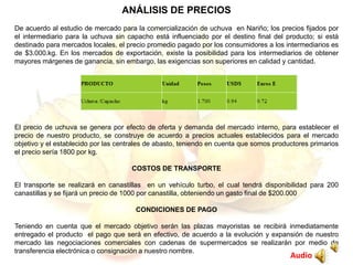 ANÁLISIS DE PRECIOS
De acuerdo al estudio de mercado para la comercialización de uchuva en Nariño; los precios fijados por
el intermediario para la uchuva sin capacho está influenciado por el destino final del producto; si está
destinado para mercados locales, el precio promedio pagado por los consumidores a los intermediarios es
de $3.000.kg. En los mercados de exportación, existe la posibilidad para los intermediarios de obtener
mayores márgenes de ganancia, sin embargo, las exigencias son superiores en calidad y cantidad.
El precio de uchuva se genera por efecto de oferta y demanda del mercado interno, para establecer el
precio de nuestro producto, se construye de acuerdo a precios actuales establecidos para el mercado
objetivo y el establecido por las centrales de abasto, teniendo en cuenta que somos productores primarios
el precio sería 1800 por kg.
COSTOS DE TRANSPORTE
El transporte se realizará en canastillas en un vehículo turbo, el cual tendrá disponibilidad para 200
canastillas y se fijará un precio de 1000 por canastilla, obteniendo un gasto final de $200.000
CONDICIONES DE PAGO
Teniendo en cuenta que el mercado objetivo serán las plazas mayoristas se recibirá inmediatamente
entregado el producto el pago que será en efectivo, de acuerdo a la evolución y expansión de nuestro
mercado las negociaciones comerciales con cadenas de supermercados se realizarán por medio de
transferencia electrónica o consignación a nuestro nombre.
Audio
 