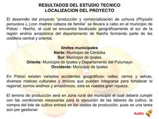 RESULTADOS DEL ESTUDIO TECNICO
LOCALIZACION DEL PROYECTO
El desarrollo del proyecto “producción y comercialización de uchuva (Physalis
peruviana L.),con madres cabeza de familia” se llevara a cabo en el municipio de
Potosí - Nariño, el cual se encuentra localizado geográficamente al sur de la
región andino amazónica del departamento de Nariño formando parte de las
codillera central y oriental.
limites municipales
Norte: Municipio de Córdoba
Sur: Municipio de Ipiales
Oriente: Municipio de Ipiales y Departamento del Putumayo
Occidente: Municipio de Ipiales
En Potosí existen variados accidentes geográficos: valles, cerros y selvas,
diversos matices culturales y étnicos que pueden integrarse para fortalecer lo
regional; somos andinos y amazónicos, esta es nuestra gran riqueza.
El terreno de producción será en zona rural del municipio el cual deberá cumplir
con las condiciones necesarias para la ejecución de las labores de cultivo, la
compra del lote de cultivo entrará en los costos de producción, pues es una tarea
aún por gestionar.
Audio
 