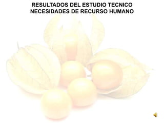 RESULTADOS DEL ESTUDIO TECNICO
NECESIDADES DE RECURSO HUMANO
 